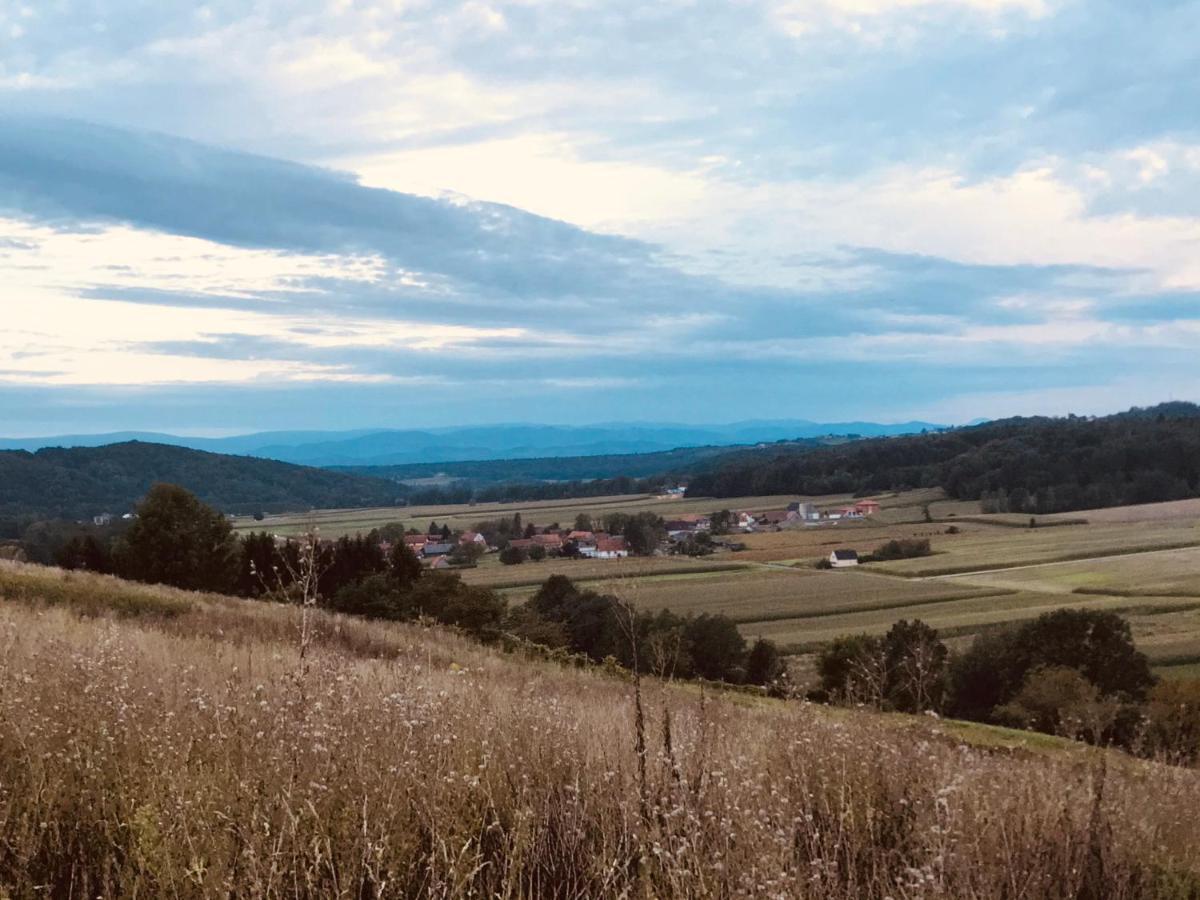 Landvilla Sinelia Premium Dietersdorf am Gnasbach 外观 照片
