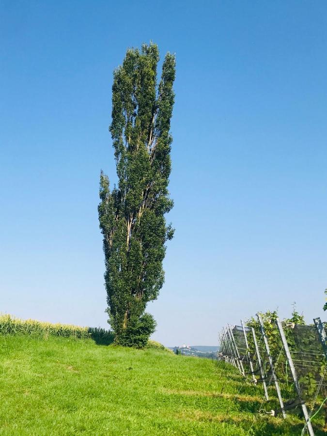 Landvilla Sinelia Premium Dietersdorf am Gnasbach 外观 照片